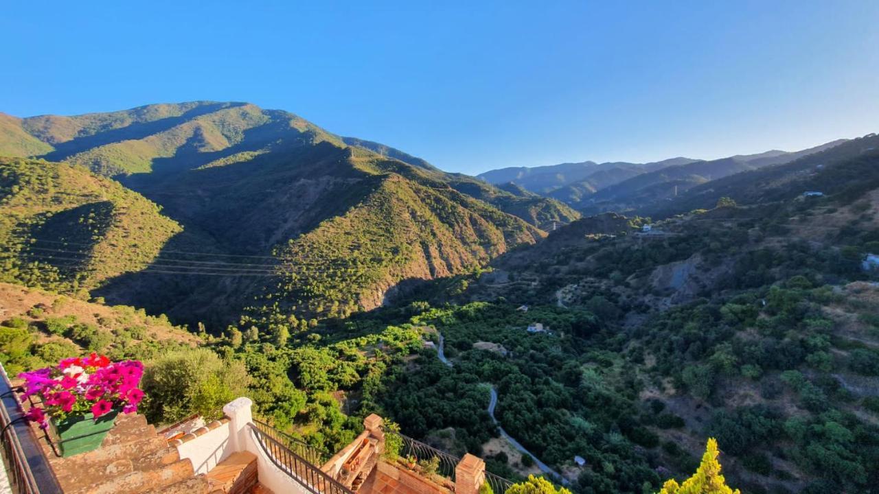 Casa Verde Apartman Istán Kültér fotó